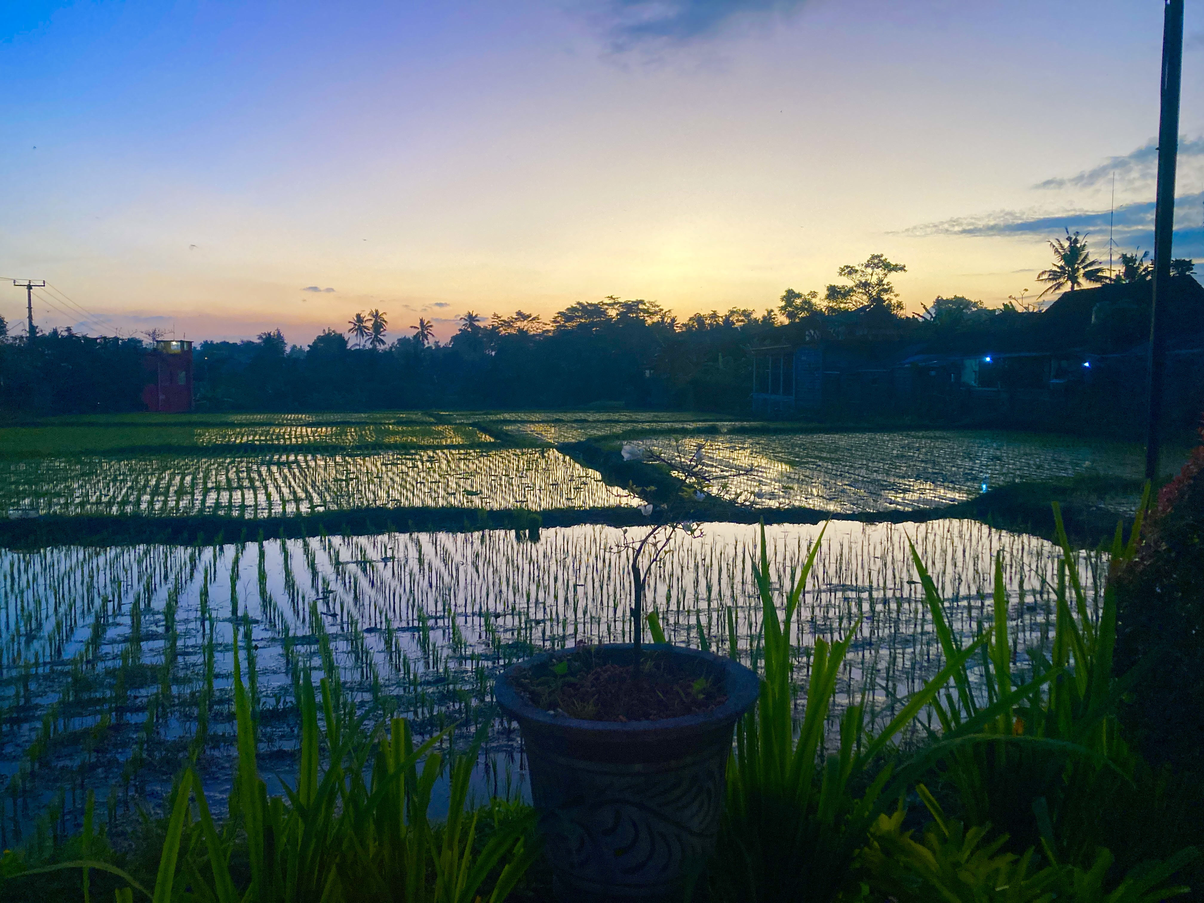 Immersive Indonesia