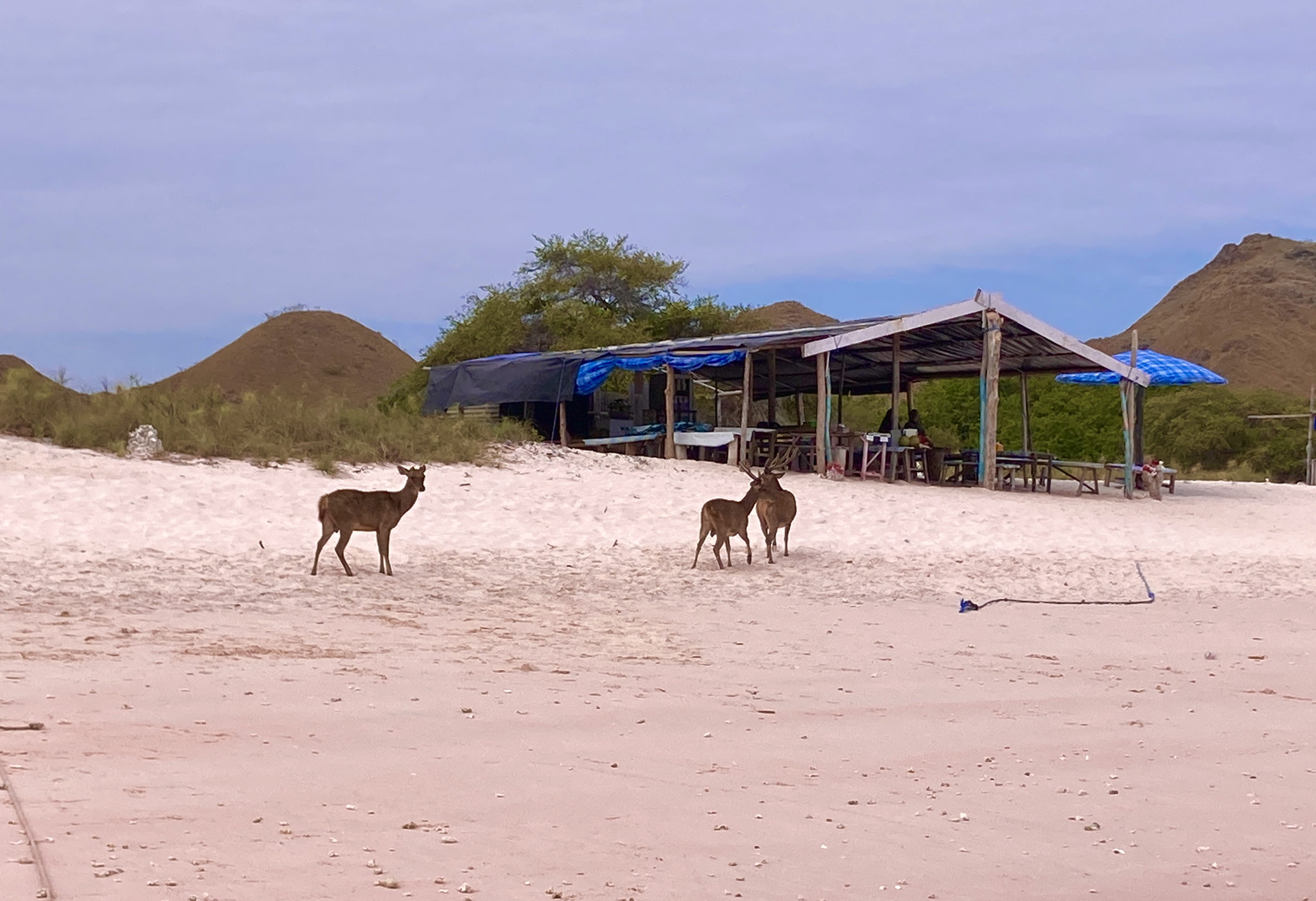 Pink Beach
