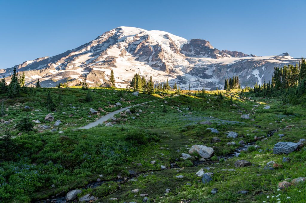 Mount Rainier