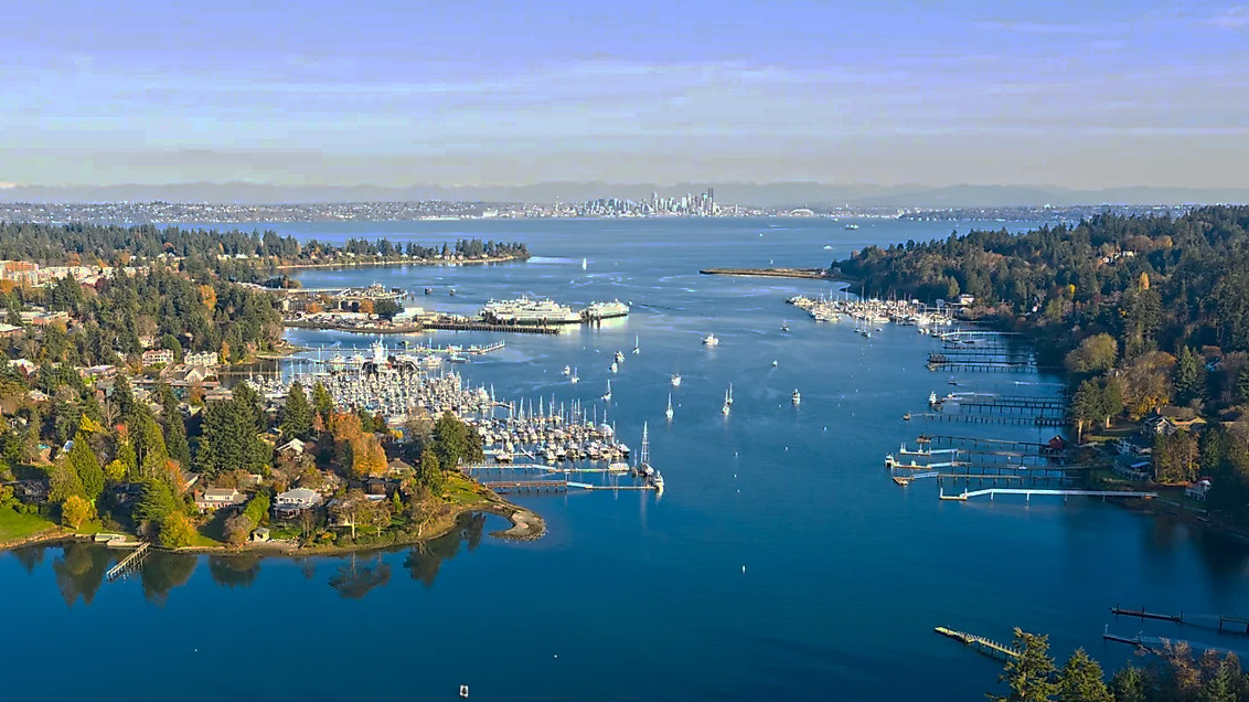 Bainbridge