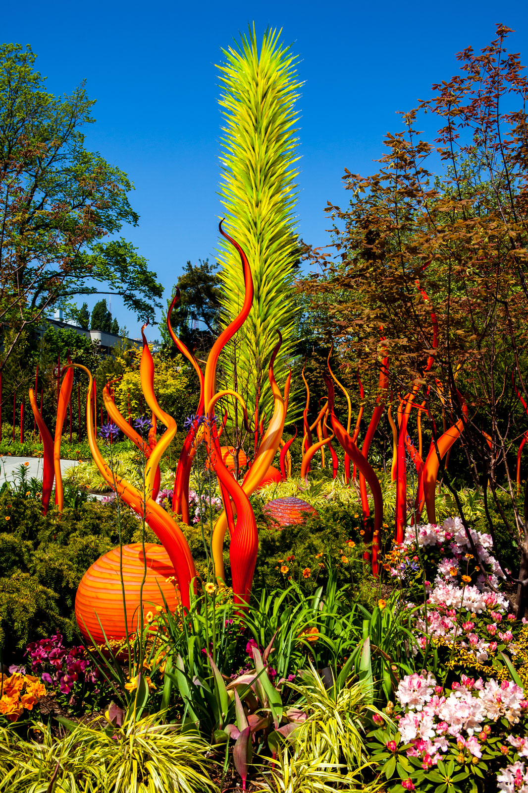 Chilhuly Gardens