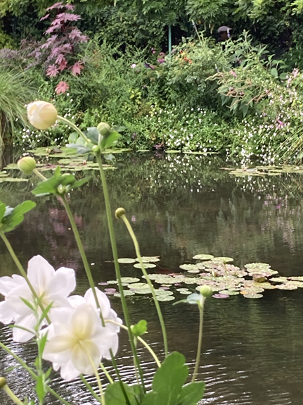 Giverny Gardens