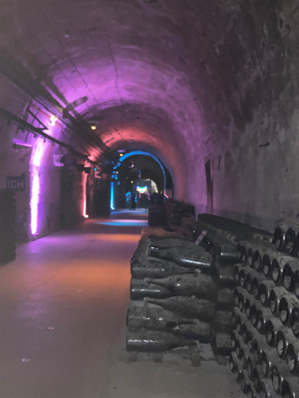 Pommery House Cellars