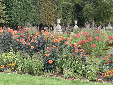 Tuileries Gardens
