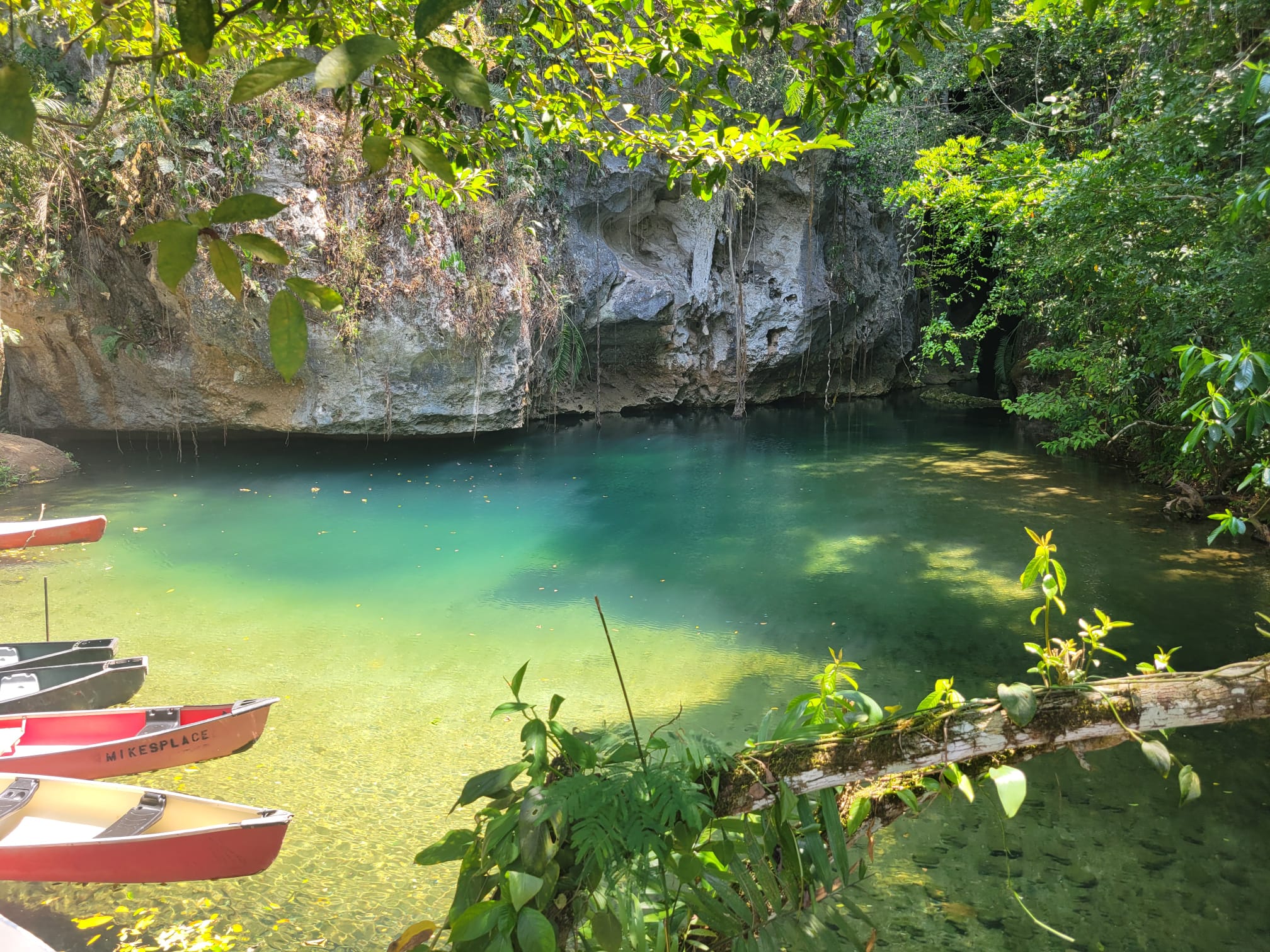 Belize Beach and Wildlife in 7 Days