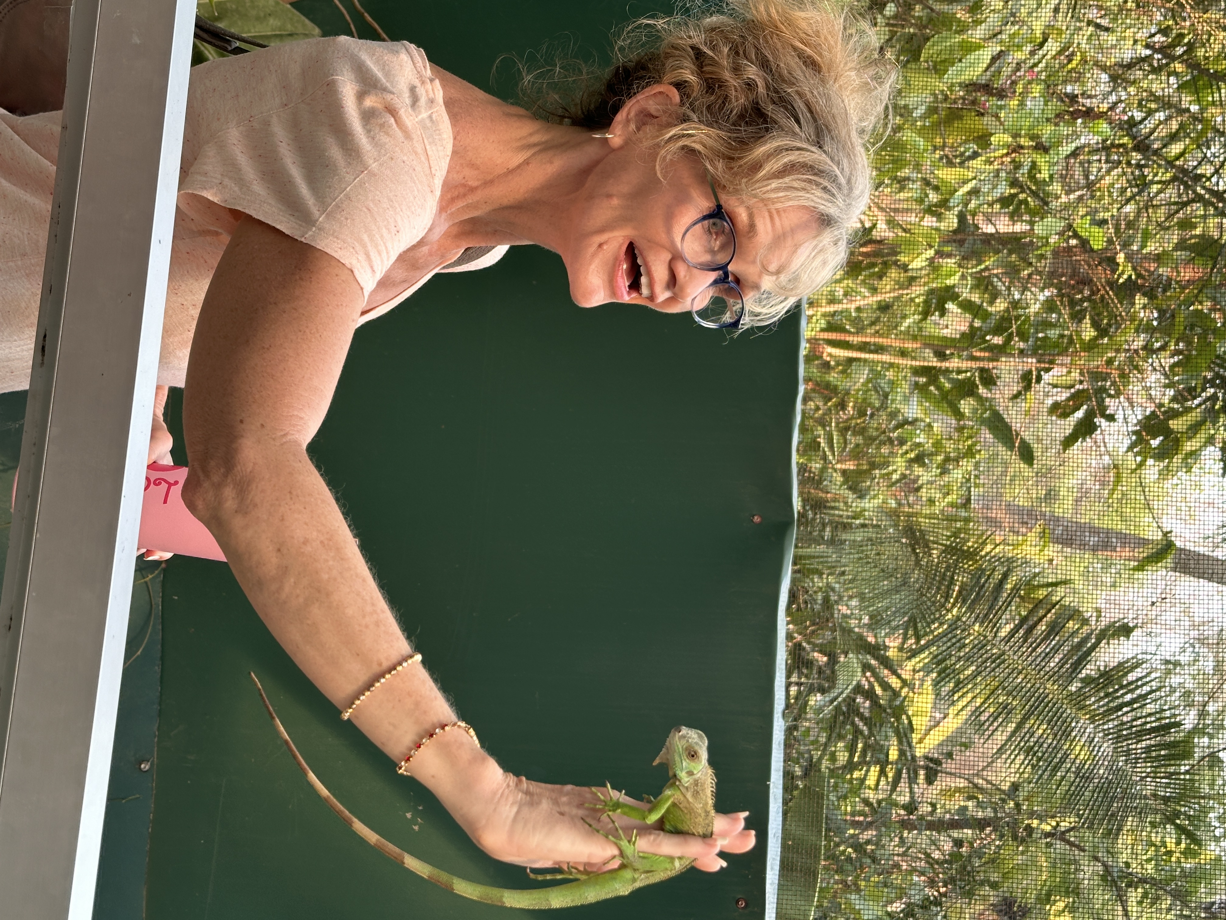 Endangered Iguana