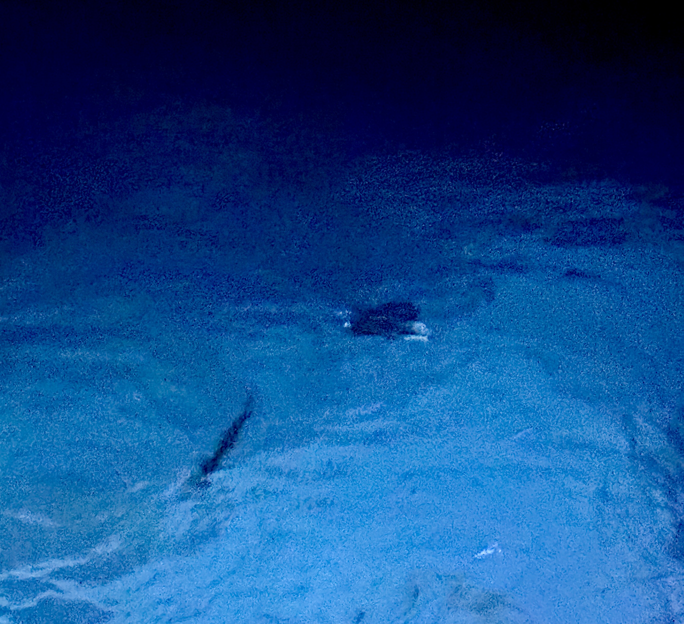 Dock life at night