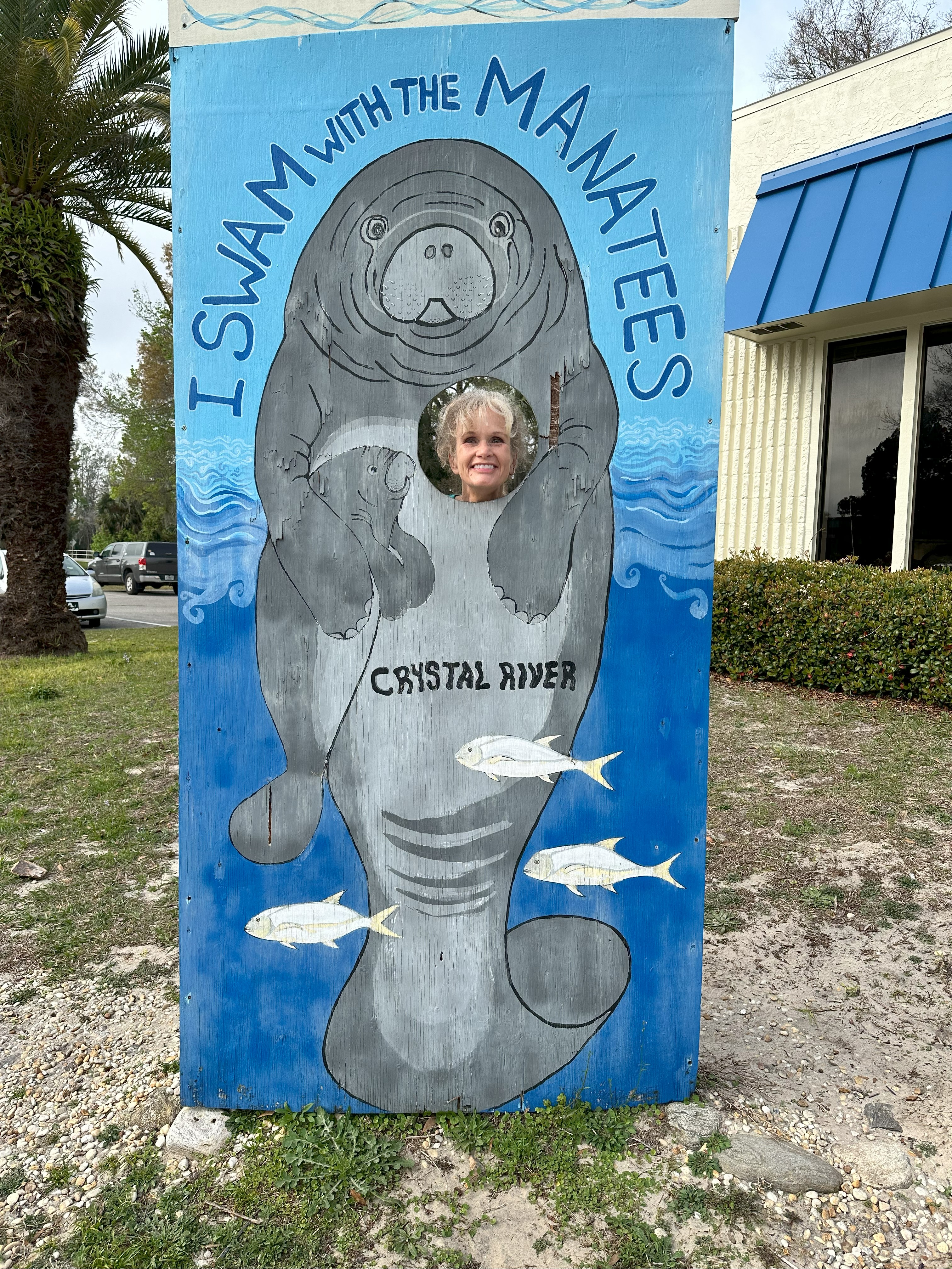 Perfect Manatee Day