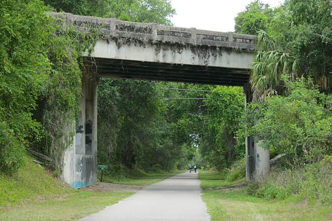 Withlacoochee State Forest