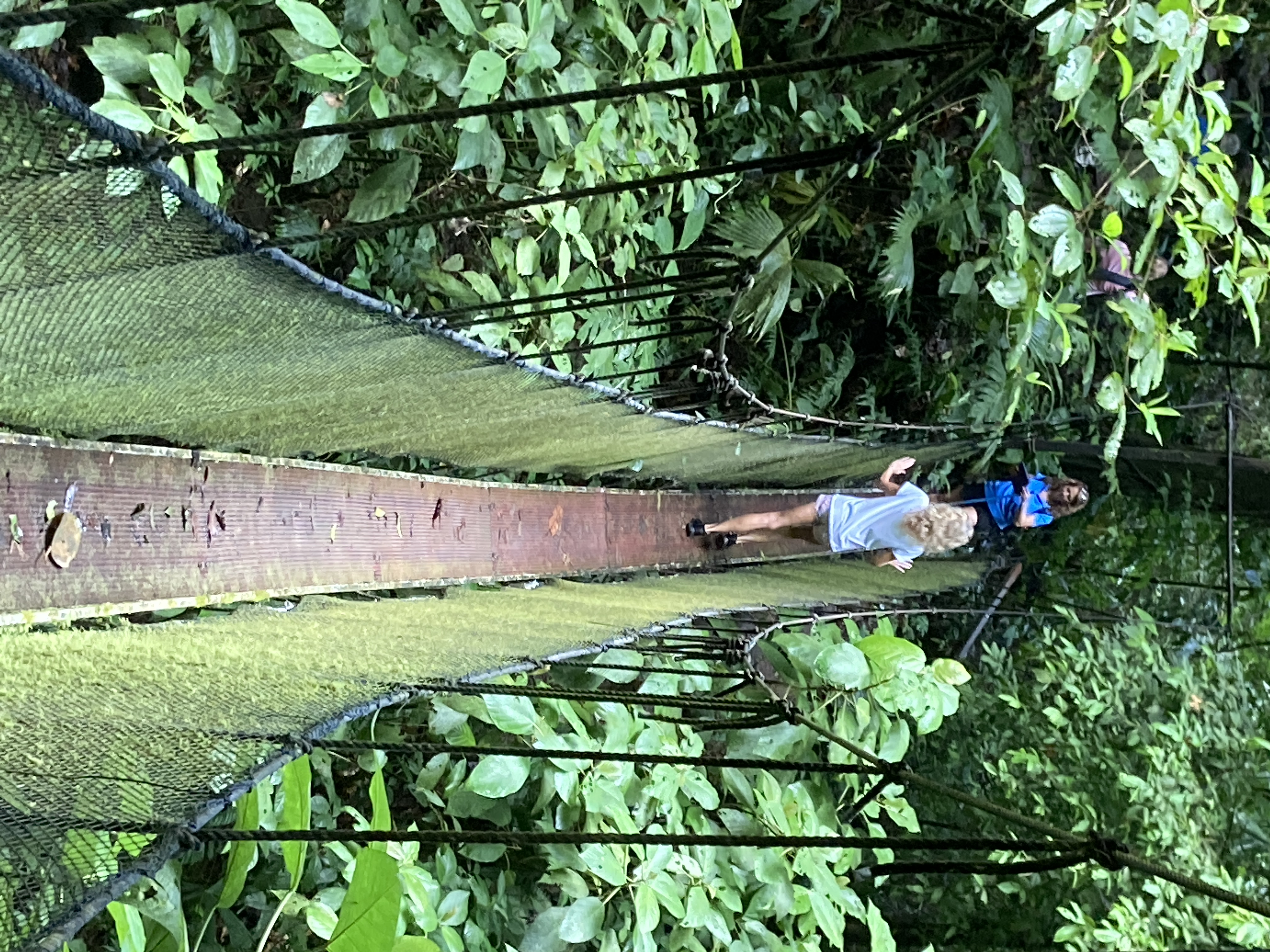 Hanging Bridges