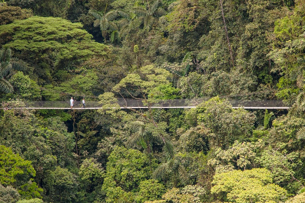 Hanging Bridges